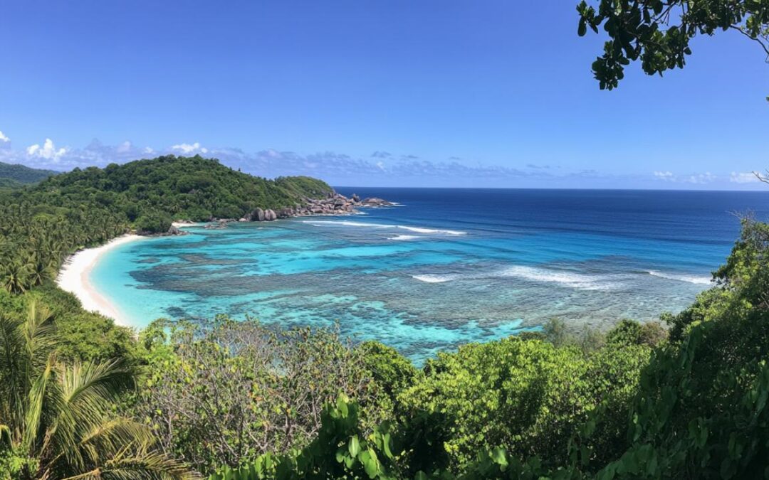 Pourquoi opter pour un séjour aux Seychelles : plages sublimes et nature préservée